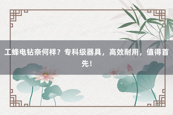 工蜂电钻奈何样？专科级器具，高效耐用，值得首先！